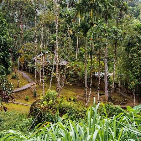 Rain Forest Inn Ringlet Exteriör bild