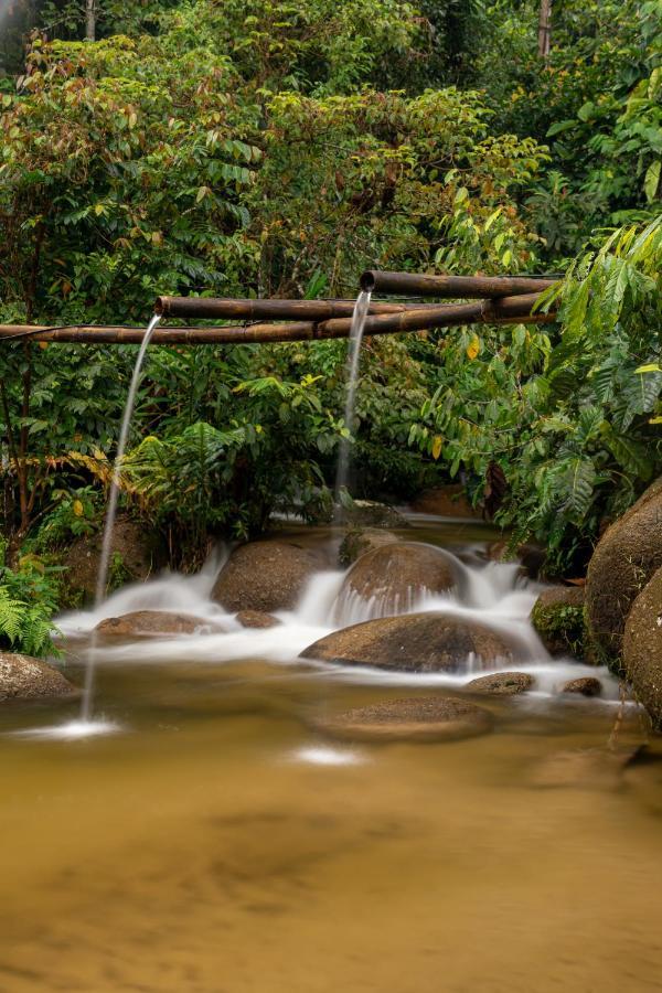 Rain Forest Inn Ringlet Exteriör bild